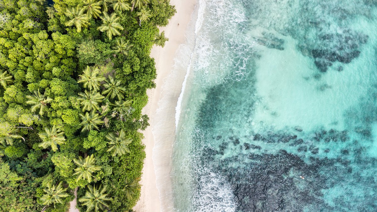 "You cannot protect the #ocean without solving climate change, and you can't solve #ClimateChange without protecting the ocean." ~ <a href="/JohnKerry/">John Kerry</a> <a href="/ClimateEnvoy/">Climate at State</a> at the #OceanClimateAmbitionSummit ☀️🌎🌊 #OceanAction #ClimateAction #DavosAgenda #SDG14+