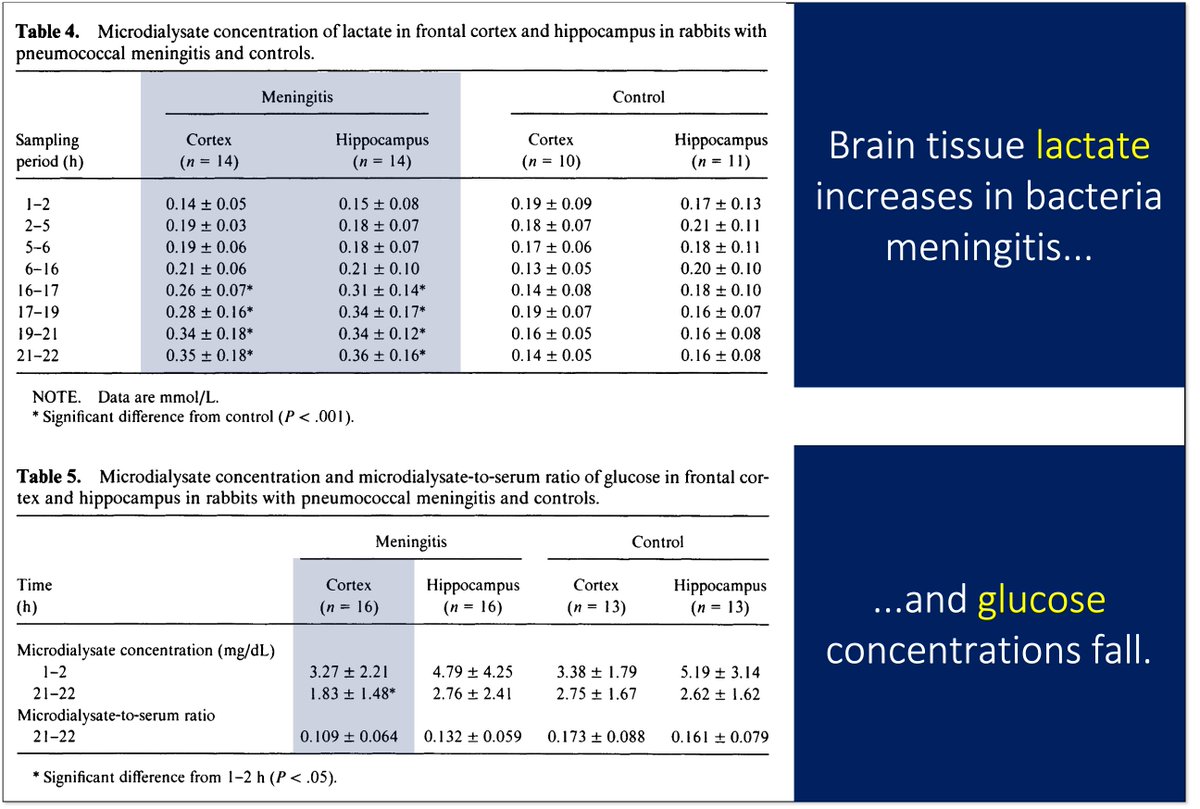 12/It's worth noting that these "something consumes glucose" explanations help explain the elevation in lactate seen in some forms of meningitis.Some data support the brain (and not leukocytes/brain) as the source of lactate. https://www.ncbi.nlm.nih.gov/pubmed/1500738 