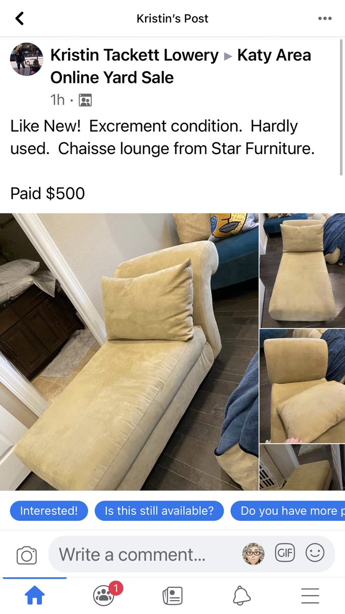 midlifenatalie's tweet photo. Just saw this shitty chaise lounge chair for sale in my local online garage sale! I don’t know...looks pretty good to me! https://t.co/MJgtUMQfDZ