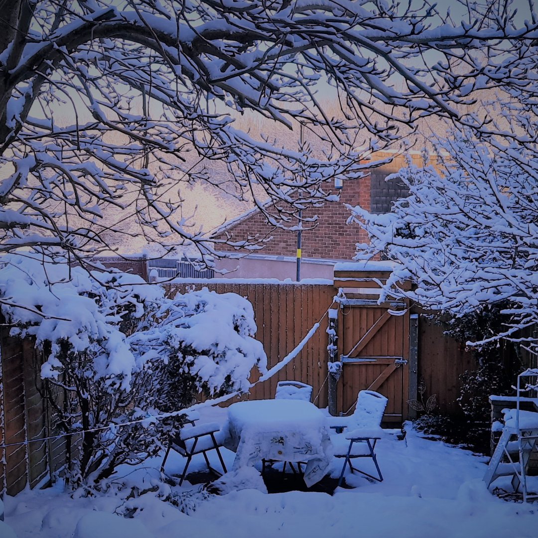 WhereDoCatsGo's tweet photo. My back garden by Country Park, the inspiration behind my book 'Where Do Cats Go?', was like a scene from Winter Wonderland. My cats stayed indoors.
I have never seen a cat that likes snow. What about your cat? I love it!
#wheredocatsgo #WinterGarden #countrypark #wdcg https://t.co/s3BuCgMWLz