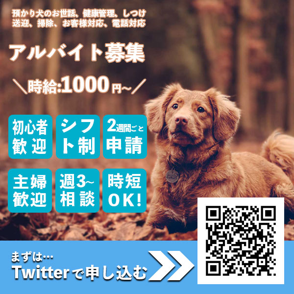 Ryu_webstudy tweet picture