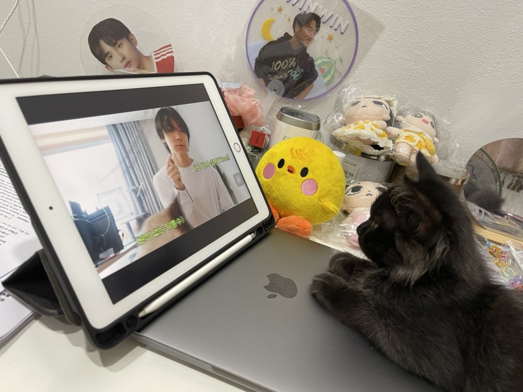 babaycatcat's tweet image. จ้องนิ่งเหมือนเค้าตกตัวเองง่ะ #KitTENCamReact