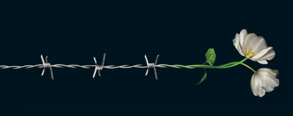 EduRural_arg's tweet photo. 27 de Enero 
Día de Conmemoración en Memoria de las Víctimas del Holocausto
#EduRuralArgentina https://t.co/GQwOYyTfbG