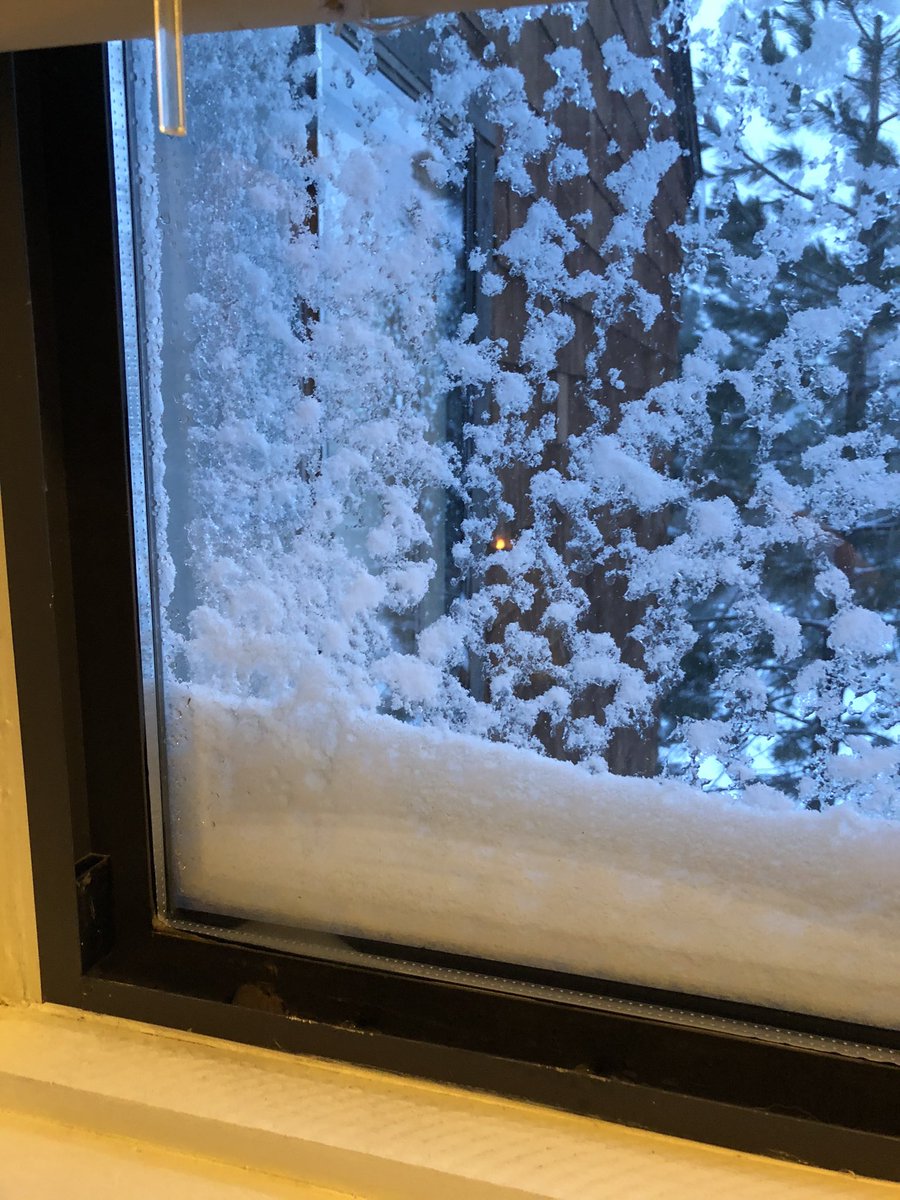 stone_ian's tweet photo. You’ll find it on the walls of your cave. @phish #snow #blizzardtime https://t.co/WxNPjtrnM5