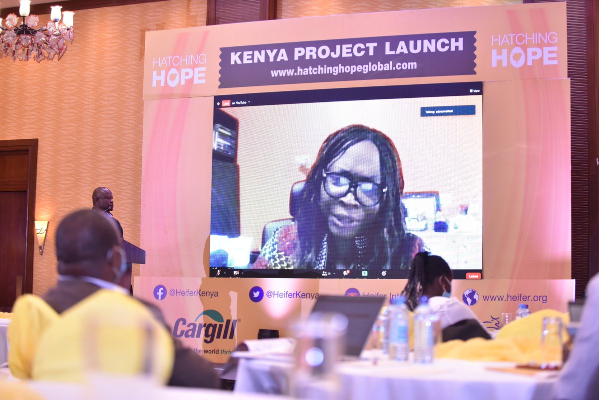 HeiferKenya's tweet photo. At Heifer, we see agriculture not just as a source of livelihood but also as a business…we hope to address challenges along the poultry value chain & make it beneficial especially for women and youth -Adesuwa Ifedi, Senior Vice President, Heifer International #HatchingHopeKenya. https://t.co/r8NqGPe5N5