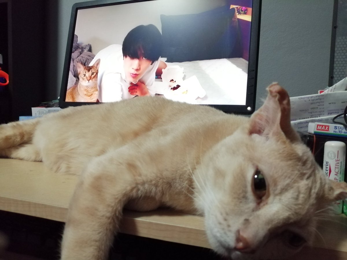 cheetahpony10's tweet image. พยายามแล้วแต่..😂  #KitTENCamReact