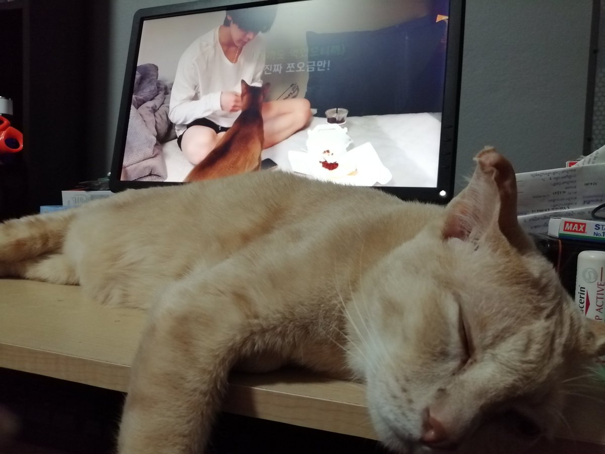 cheetahpony10's tweet image. พยายามแล้วแต่..😂  #KitTENCamReact