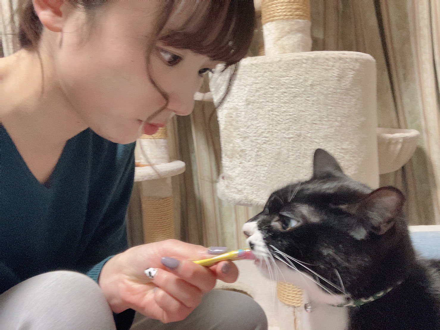 村山水生 むらやまみき 本日もご出演ありがとう 猫 猫のいる暮らし ねこの幸せ 猫動画 ねこ ちゅ る 猫ズ しろくろ ギャラ 猫好きさんと繫がりたい 猫がいる暮らし T Co Udl0dueq3b Twitter