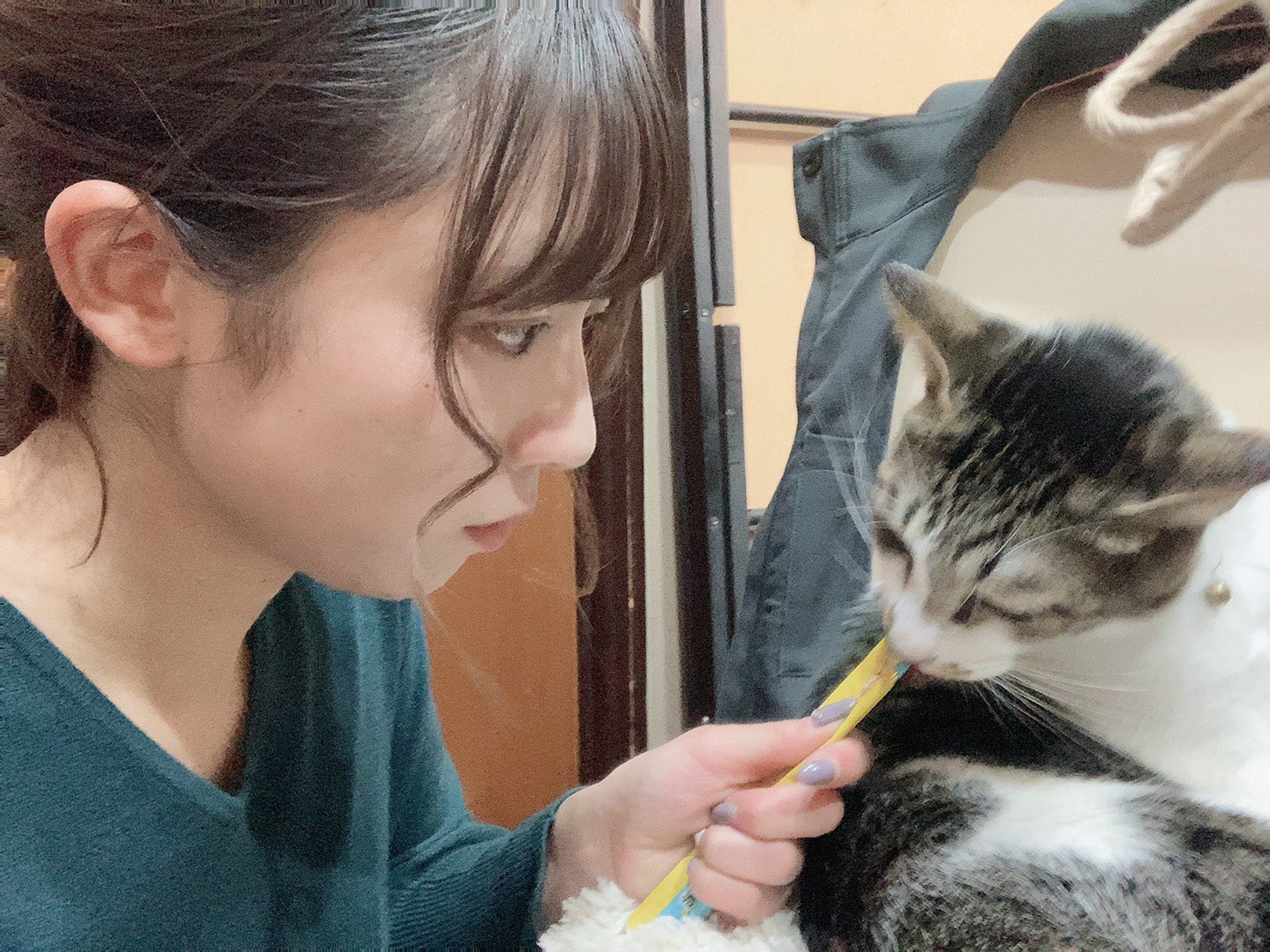 村山水生 むらやまみき 本日もご出演ありがとう 猫 猫のいる暮らし ねこの幸せ 猫動画 ねこ ちゅ る 猫ズ しろくろ ギャラ 猫好きさんと繫がりたい 猫がいる暮らし T Co Udl0dueq3b Twitter