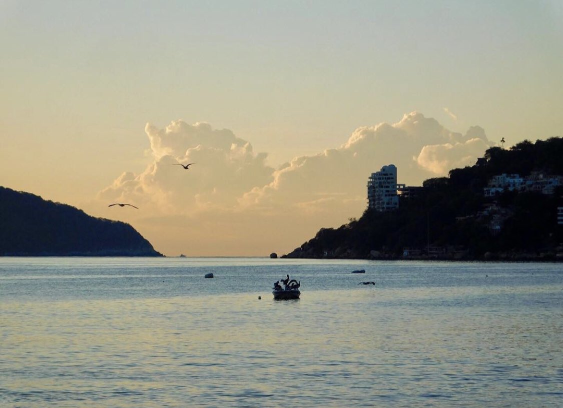 Didetzisotelo's tweet photo. Siempre es un buen día para agradecer, amanecer #Acapulco excelente #Miércoles.👐🏻 https://t.co/F8OlbRgnNZ