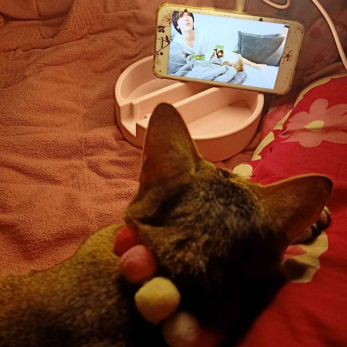 hyodarker's tweet image. ดูพี่เตนล์แล้วหลับปุ๋ย💤 การันตีโดยมะแงวคั้บ! #KitTENCamReact