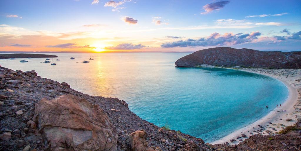 Princess Cruises tweet media