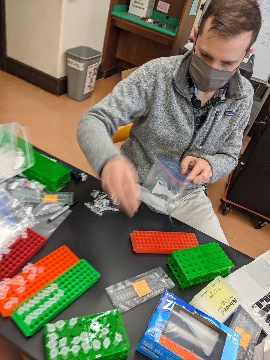 Excited to pack take home kits so my AP students can do <a href="/biobitsproject/">BioBits®</a> at home! Thank you <a href="/MassInsightEdu/">Mass Insight</a> for helping provide this opportunity! <a href="/miniPCR/">miniPCR bio</a> <a href="/ebhs_science/">EBHS Science</a>