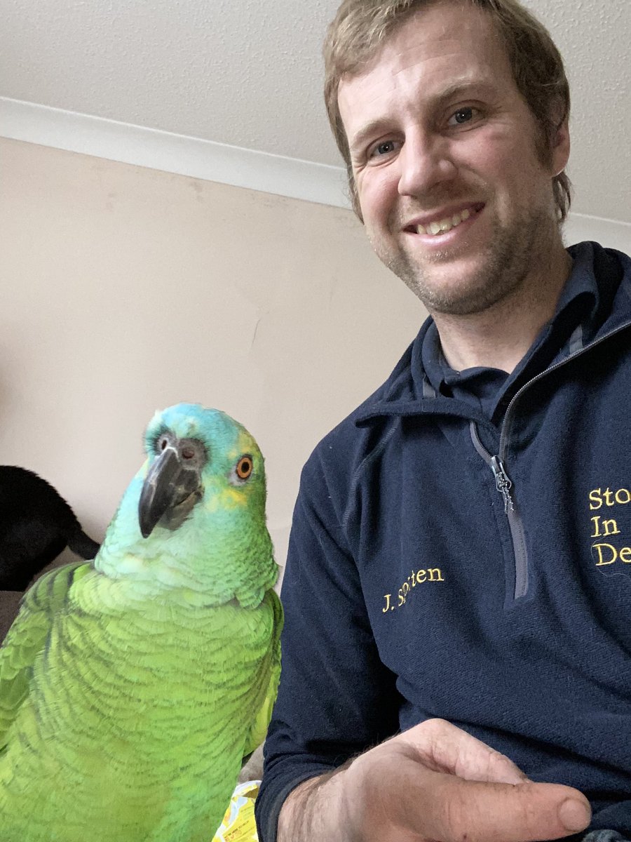 Jason Shorten tweet media