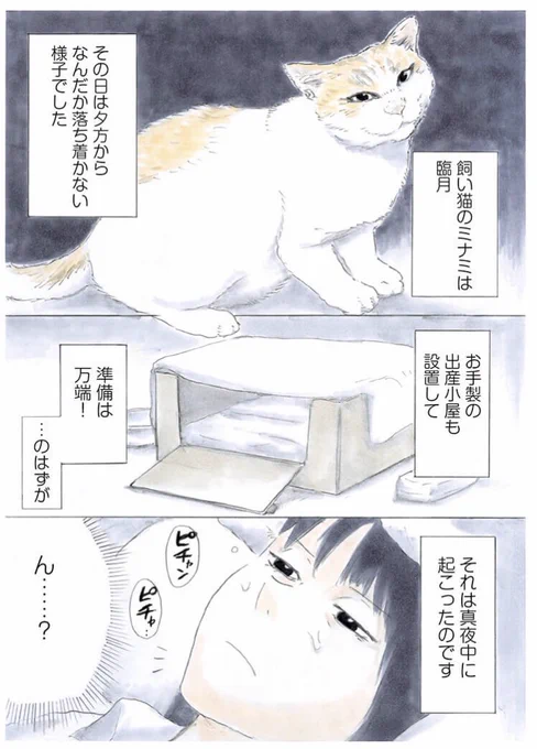 『PURINA×KADOKAWA 描き下ろしキャンペーン』第2回のエピソードが公開されました!臨月を迎えた飼い猫がとったまさかの行動!その時飼い主は…  