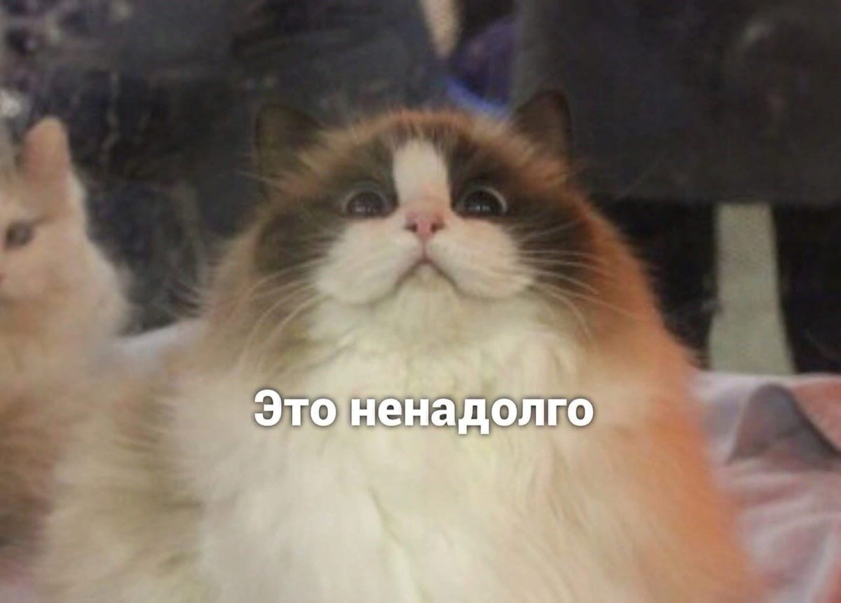 drunktwi's tweet image. Ох уж эти Саши...