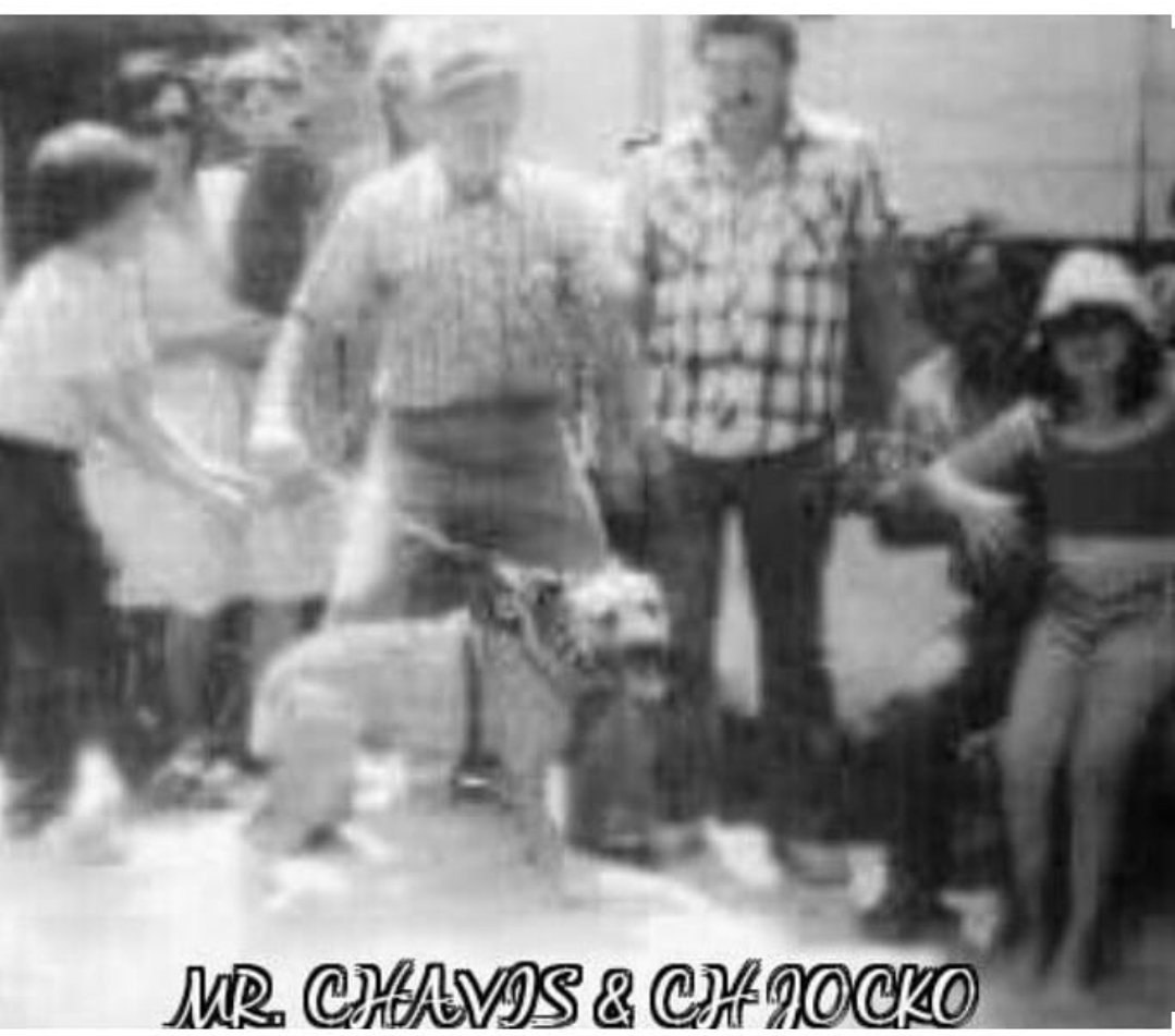 gamedogse's tweet photo. Mr. Chavis &amp; CH. JOCKO
Historical picture https://t.co/2hsqGL4KUm