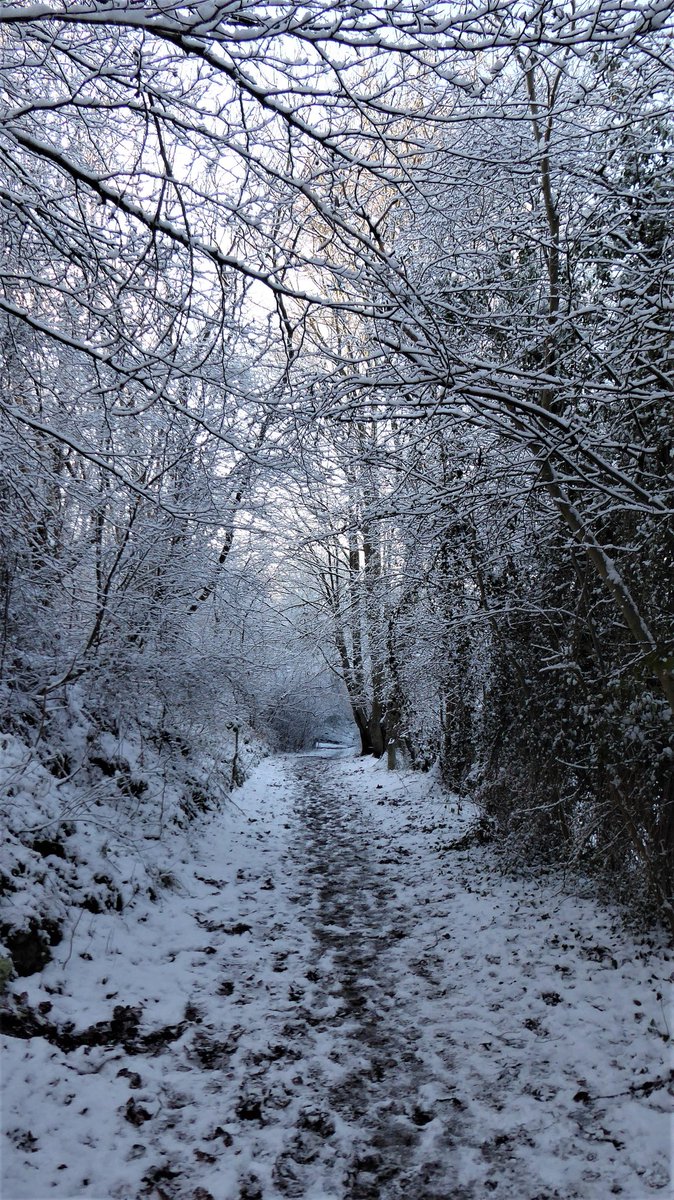 PicsByHarry's tweet photo. Love the Wintertime. https://t.co/vrQXLbJc71