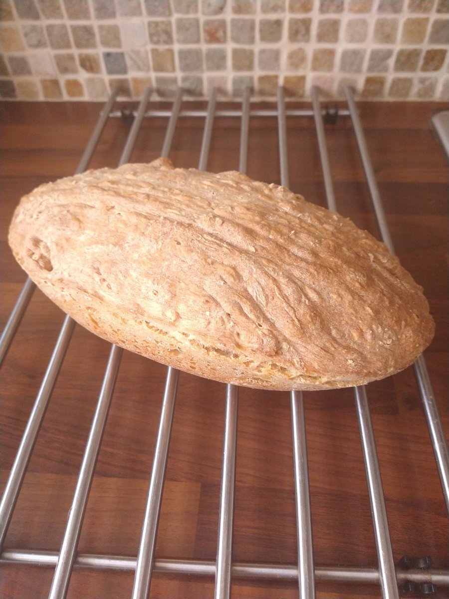 cinzia_lab's tweet image. What do stem cells and live sourdough starter have in common? More than you think.... Feed every day and  difficult to differentiate in 3D organoids... n=4 and still trying #homebread