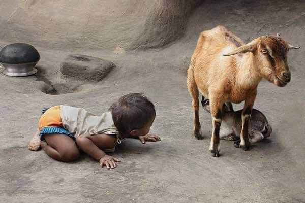 L'enfance c'est l'innocence, une vie de l'insouciance et de la curiosité.
