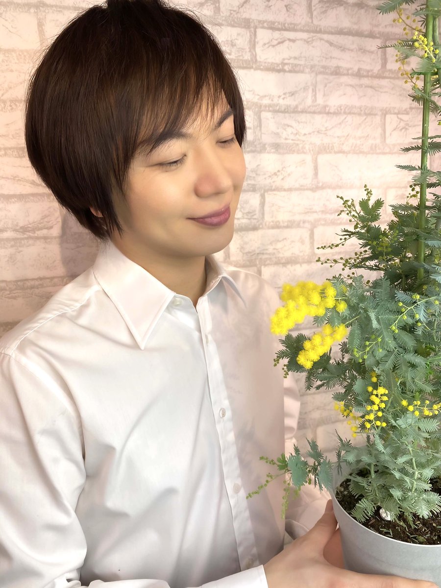 竹島宏スタッフ 公式 ミモザ 花言葉は 感謝 真実の愛 感謝の日は 輝く金平糖みたいなミモザの花を 今日も1日お疲れ様でした ひろネット 花便り 花言葉 花 ミモザ 感謝 絆 発売日 花のある暮らし 花の癒し Stories 花のパワー 竹島宏スタッフ 公式 ミモザ 花言葉は 感謝 真実の愛 感謝の日は 輝く金平糖みたいなミモザの花を 今日も1日お疲れ様でした ひろネット 花便り 花言葉 花 ミモザ 感謝 絆 発売日 花のある暮らし 花の癒し Stories 花のパワー