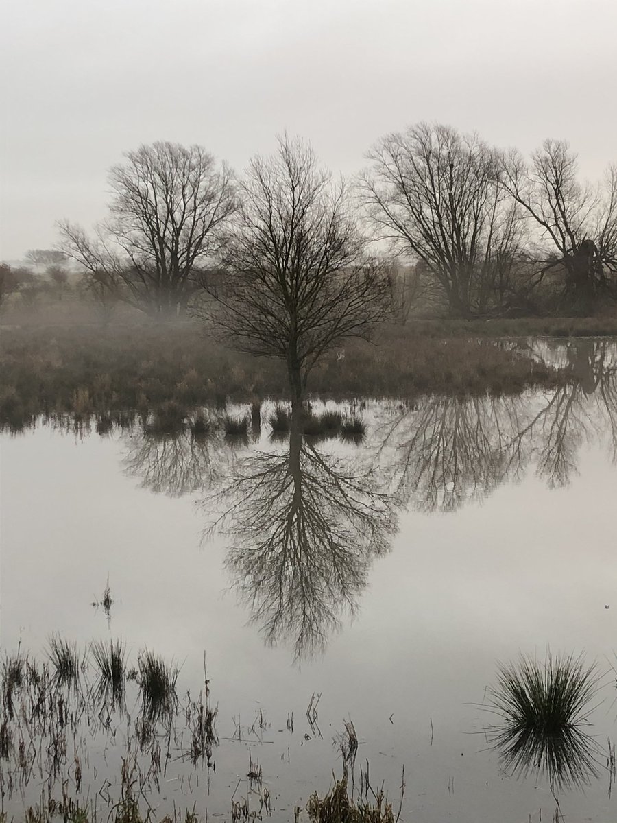 Time for reflection at Hornchurch country parks view of the SSSI marshes on a calm morning.