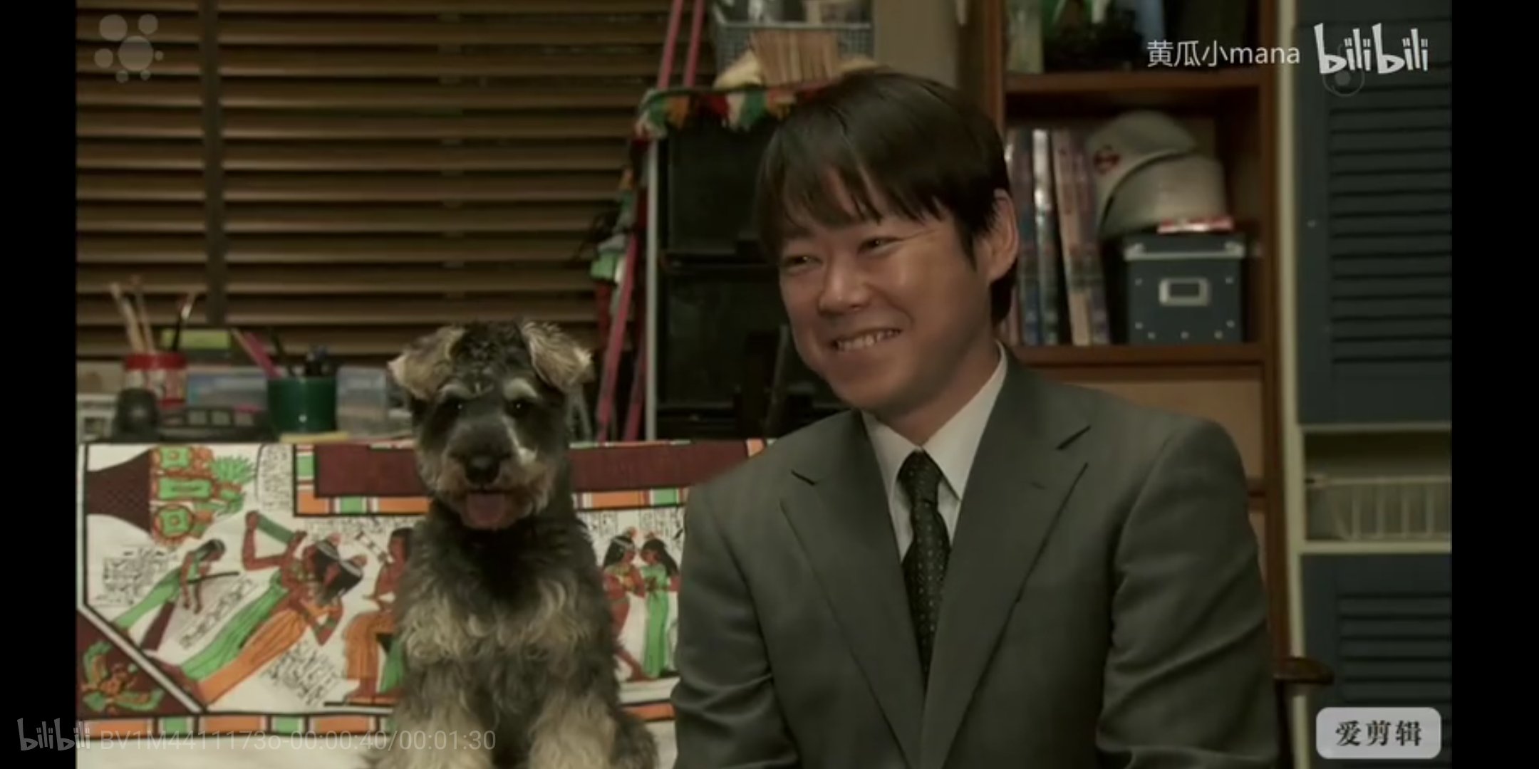 あっちゃん ２ Twitterren この犬マルモのおきてのムックに似てない 皆さんはどう思いますか T Co Em3hmdmdsn Twitter