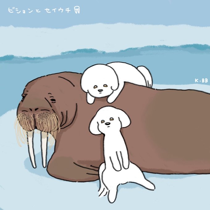 セイウチのtwitterイラスト検索結果 セイウチのtwitterイラスト検索結果