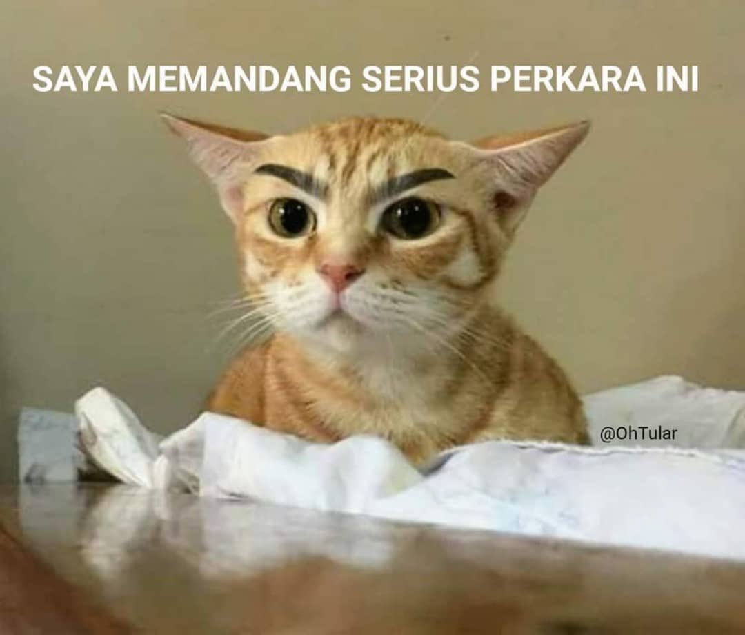 RempahRz's tweet photo. Sembang kena padu. Ramai2 buat kenyataan pasal #OpsWakeUp21 be like: https://t.co/hnQhiZKELz