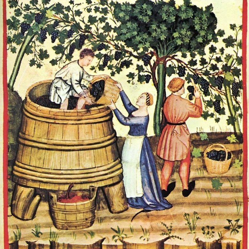 patriziamado's tweet photo. Red wine has its roots coming from #Georgia, the cradle of #wine, where history makes its birth time around 6000 BC Choose a wine amongst the wide #RedWine #collection from our store and order from anywhere in the #world For more details, visit our website https://t.co/sGp3TntzOw https://t.co/jP6oxpzfQ2