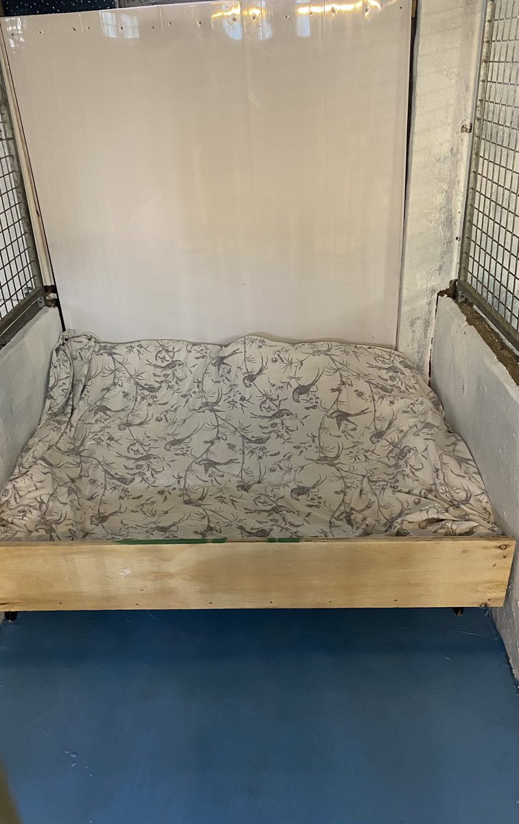 Empty beds, hopefully not for long. We are hoping to travel as soon as it’s safe to do so. 🤞