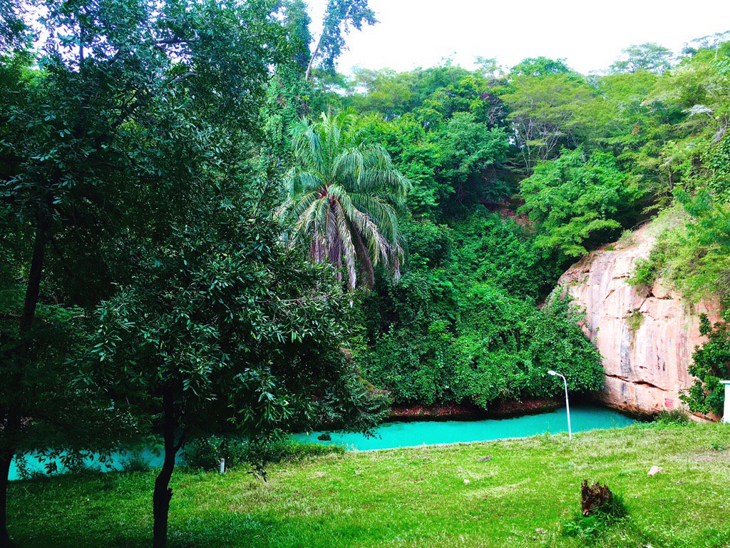 Yankari offers tourist an experience like no other. 
From, Safari Game Viewing to Marshall caves, Museum, Dukkey Wells, Wikki Warm Spring and lots more.

Visit Yankari Today to Experience Nature.... yankarigamereserve.com.ng