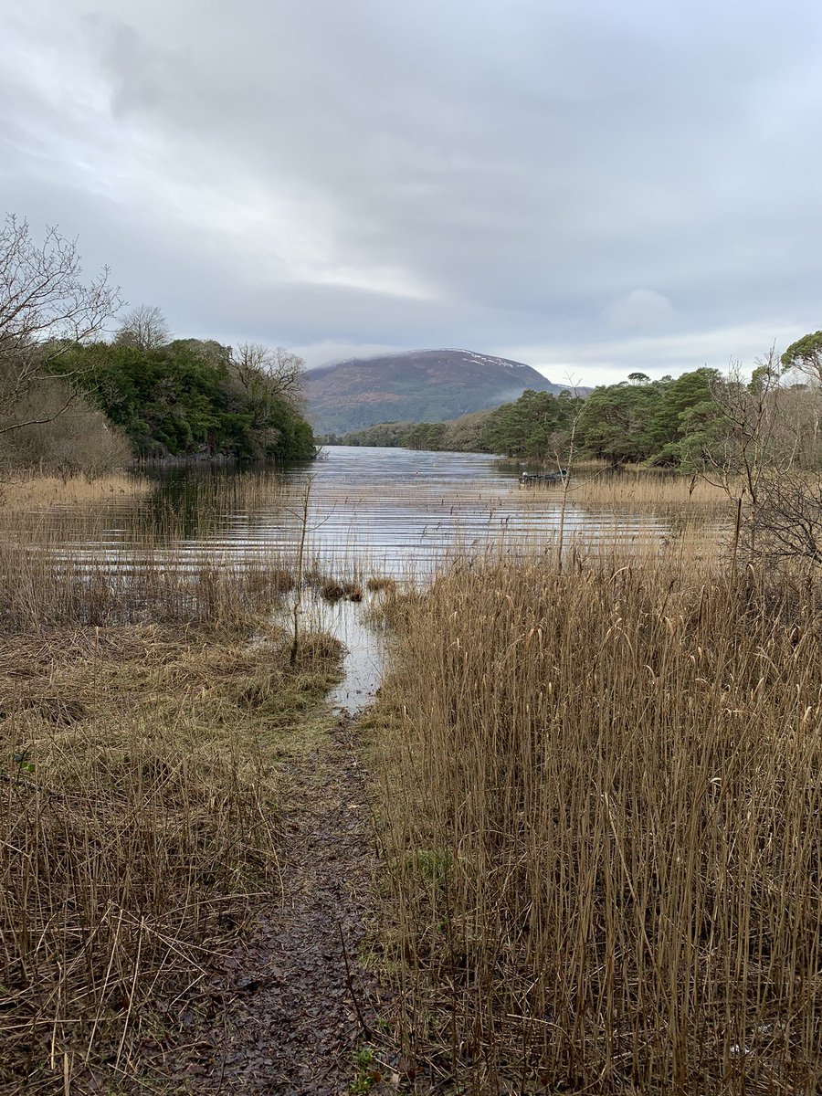 PotgieterFrits's tweet photo. Headspace time...#enoughsaid #wellbeing #wellbeingwednesday #killarney #explorekerry #explorekillarney #visitkerry #metime https://t.co/tTEL4vslkc
