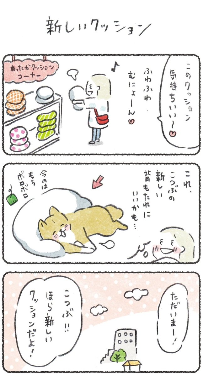 新しいのより今までのボロボロの方がいい犬
#豆しばこつぶ 