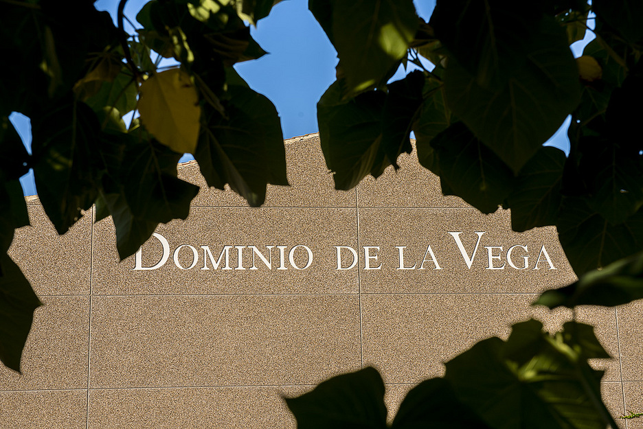 RutaVinoUtielRequena tweet media