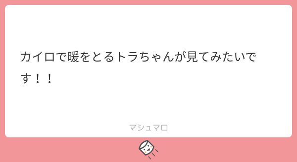 だいぶ遅くなりました、すみません。
カイロで暖をと(ろうとしたが袋を開けないと暖かくならないことを知らず冷えたカイロを暖めようと奮闘す)るトラちゃんです。素敵なマシュマロありがとうございました。 