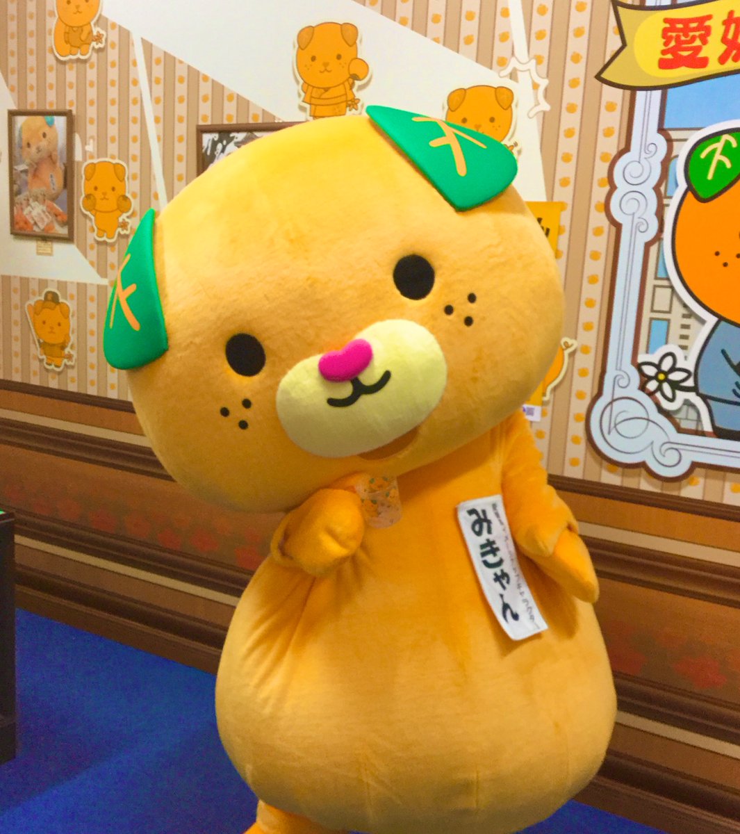 みきゃん 公式 愛媛県イメージアップキャラクター 今日もいちにち おつきゃれさま ᆺ お気に入りのコップやけ ん 明日も良い日になりますよ に おやすみーきゃん 愛媛県 みきゃん みきゃん 公式 愛媛県イメージアップキャラクター 今日もいちにち おつきゃれさま ᆺ お気に入りのコップやけ ん 明日も良い日になりますよ に おやすみーきゃん 愛媛県 みきゃん