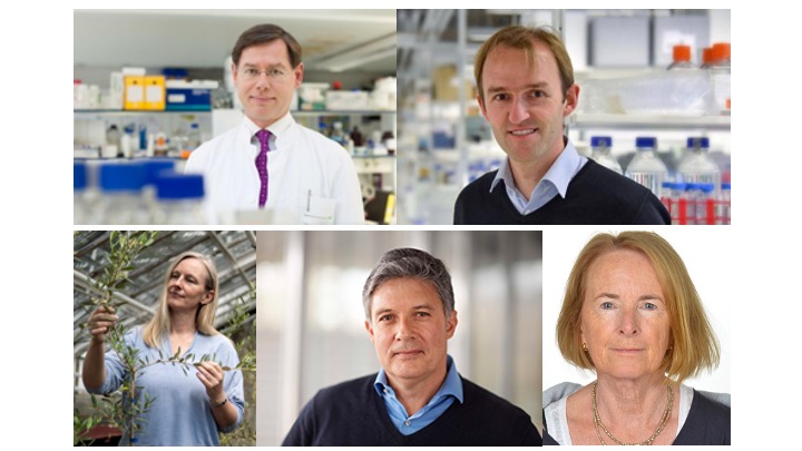 Christoph Klein, Dominik Paquet <a href="/PaquetLab/">Dominik Paquet</a>, Silke Robatzek, Eckhard Wolf <a href="/LMU_Muenchen/">Universität München</a>, and Alison Abbott <a href="/alison_c_abbott/">Alison Abbott</a>, <a href="/nature/">nature</a> will discuss whether CRISPR/Cas  is just a new tool or a revolutionary method. Join us on February 11 at 7 pm CET. Please register @info@cas.lmu.de.