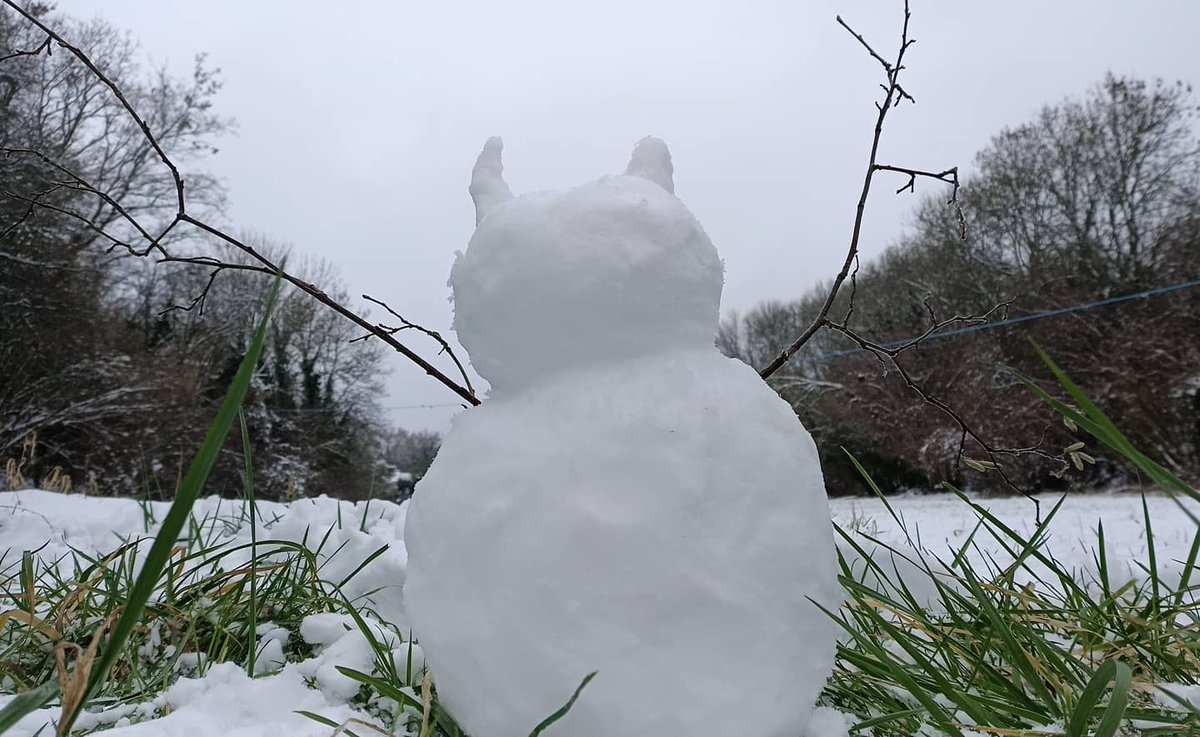 ILemonDuckI's tweet photo. So here are my snowbabies I quite like how they turn out, first time making "snowmans" (not really man) a little Demon and a little Dinosaur
#snowday #snowman #snowdemon #snowdinosaur https://t.co/uZHqjHf582