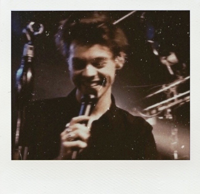 hstylespics's tweet photo. harry styles in polaroids https://t.co/X4tVVhcm5O