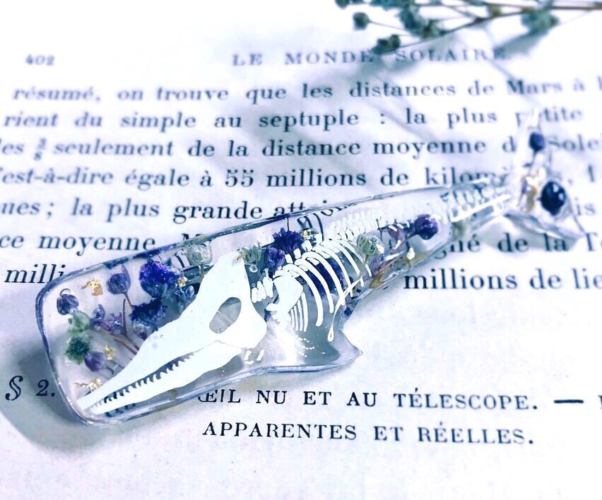 お花作品鑑賞会 Ruffのイラスト