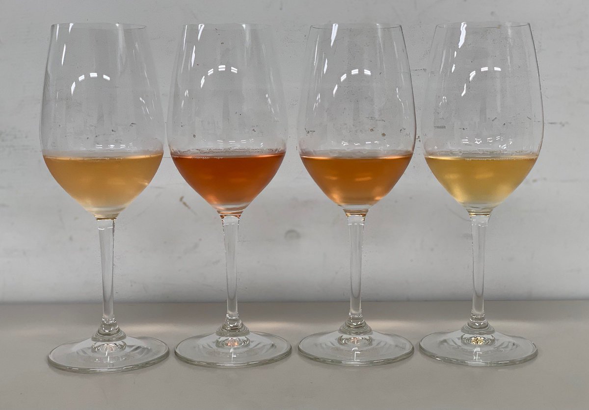 NHK文化センター青山校シャンパーニュ講座、現行＆増設の2クラスとも無事終了✨　今月はブラピのフルール・ド・ミラヴァル・ロゼをメインにしながら秀逸なロゼを比較探究🥂
#フルールドミラヴァルロゼ　#Champagne  #nhkcul