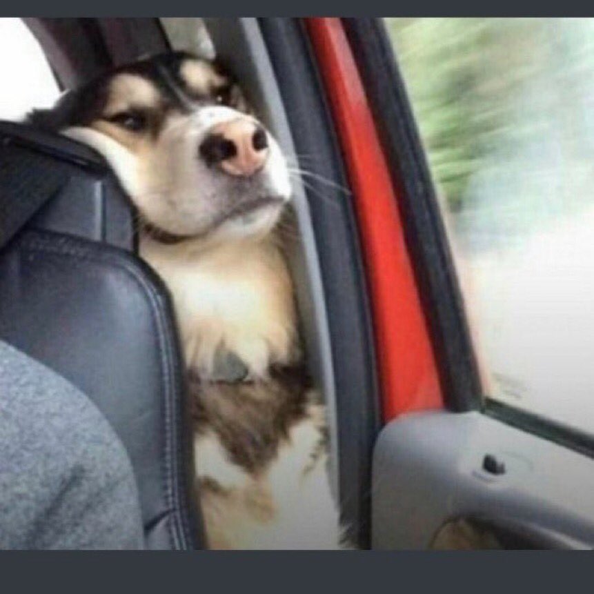 Brain_30bg's tweet image. "Me After getting kidnapped"

Can you please borrow me your phone to tweet about how DAVIDO singlehandedly sold out the 02 Arena 2years Ago Today ?
#DavidoAtO2