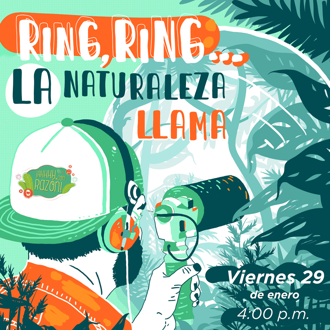 Para nuestra próxima edición de ¡Ahhh, con razón!, tendremos como invitado especial a <a href="/OAcevedoCharry/">Orlando Acevedo-Ch🦉</a>, curador de la Colección de Sonidos Ambientales Mauricio Álvarez-Rebolledo del Instituto Humboldt. 
Sigue la transmisión en: youtube.com/user/InstHumbo…
facebook.com/instituto.humb…