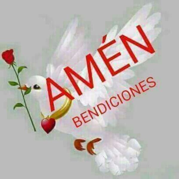 comando especial tweet media