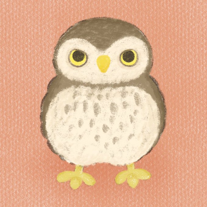 かわいいイラストのtwitterイラスト検索結果 古い順