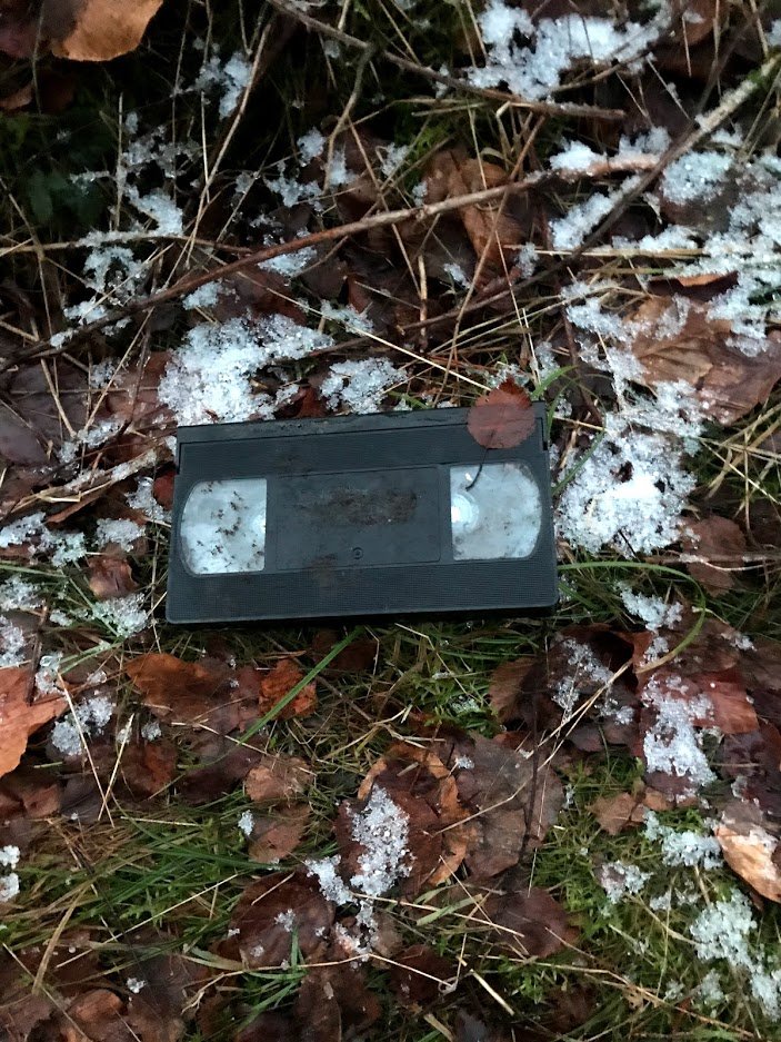 _spoonnn's tweet photo. I got covid a month ago and now my sense of smell is still shagged so I came to the forest to fix it but all I got were nice pictures and cursed nameless video tapes https://t.co/nKMgunkv4r
