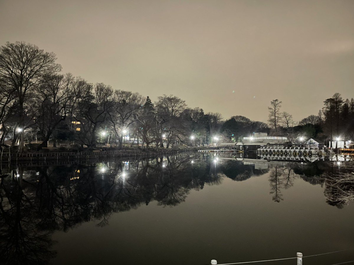 いくみん 吉祥寺大好き 夜の 井の頭公園