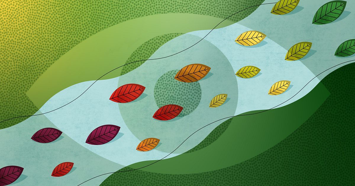 The future of—everything—depends on what we do to protect #NatureNow. Is 2021 the year we see nature’s value—and take action to save it? Here are 5 opportunities to choose nature in 2021: bit.ly/3q4wqtI -  via <a href="/nature_org/">The Nature Conservancy</a>