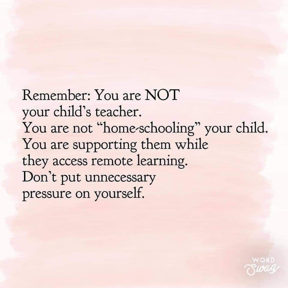 missmclean_NPS's tweet photo. Take the time to remember this 🤍 https://t.co/lKMpBuVN0U
